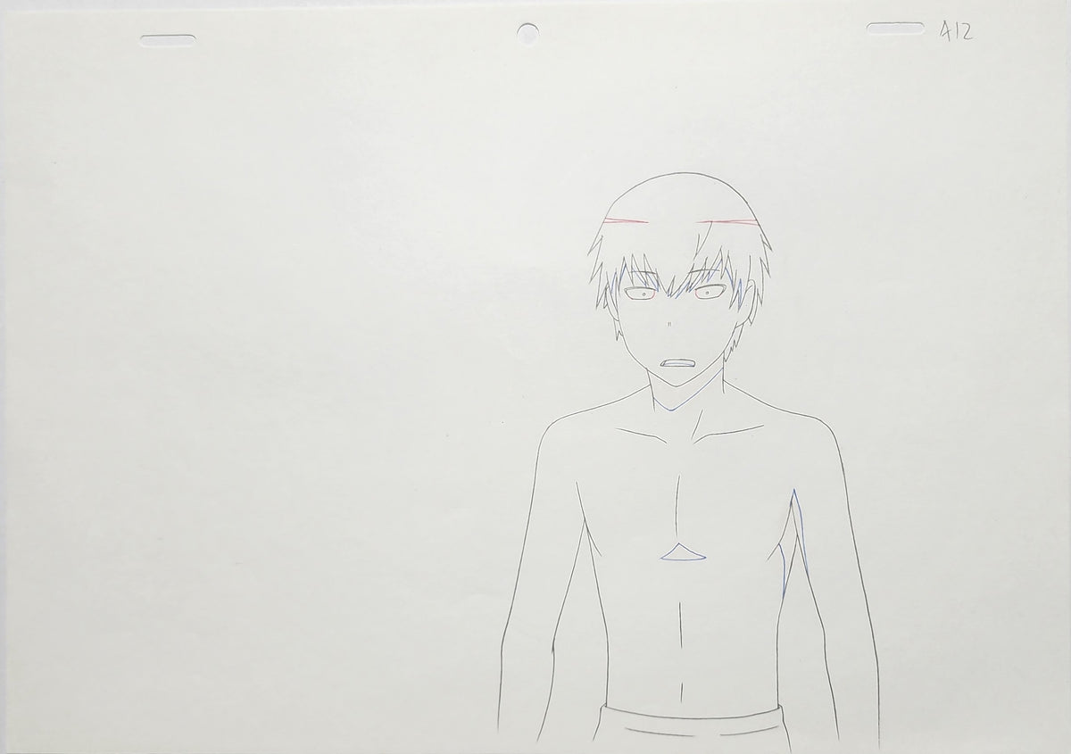 Toradora Animation Production Cel Drawing Anime: 4369